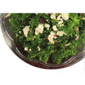 Organic Kale Salad catering tray from Ribello Market, Cranford NJ